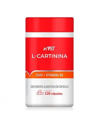 L-CARNITINA C/120 CAPS KATIGUA