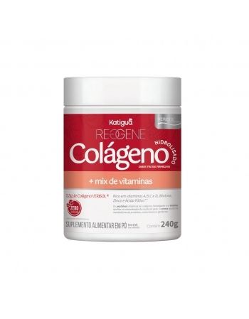 COLAG VERISOL+HIALURONICO 240G FRUTAS VERMELHAS KATIGUA