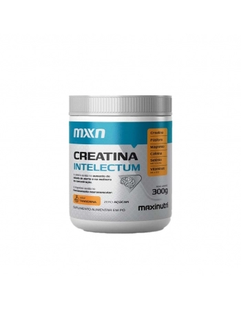 CREATINA INTELECTUM 300G