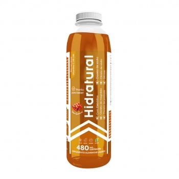 HIDRATURAL GUARANA 480ML BIOPHITUS