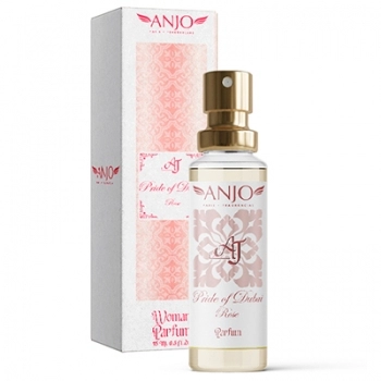 PERFUME FEMININO AJ CAMMINO 15 ML (INSPIRAÇAO MY WAY GIOGIO ARMANI)