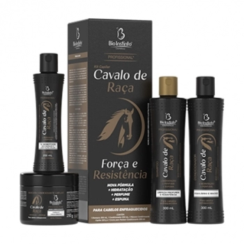 KIT CAPILAR CAVALO DE RAÇA BIO INSTNTO 4 ITENS